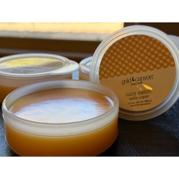 Gold Canyon Candle Scent Pod wax melts for warmers Hard to find Juicy Melon - Picture 1 of 2